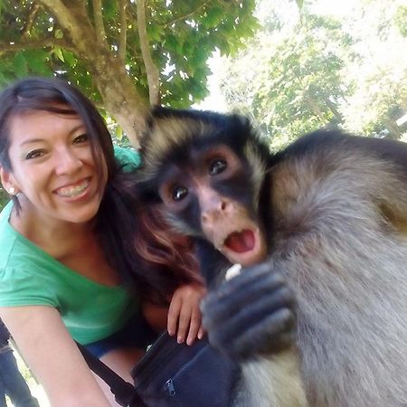 Avatar Amazon Lodge & Canopy Park Santa Teresa  Exterior foto